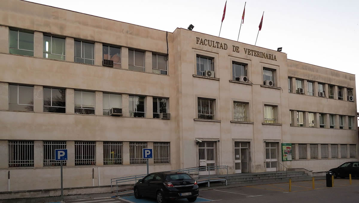Facultad de veterinaria de la Universidad Complutense de Madrid. (Foto: UCM)