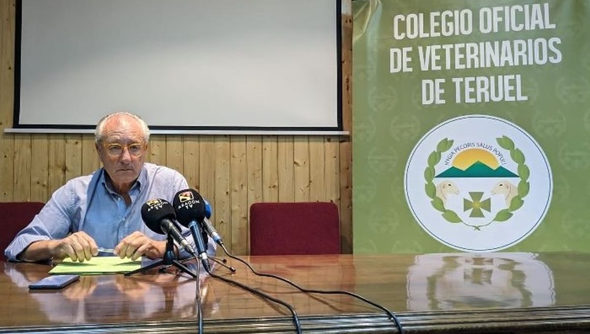 El presidente del Colegio, en la comparecencia de prensa. (Foto: Diario de Teruel)