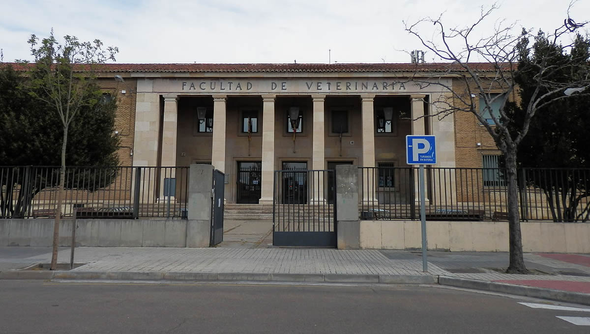 Facultad de Veterinaria de la Universidad de Zaragoza. (Foto: Universidad de Zaragoza)