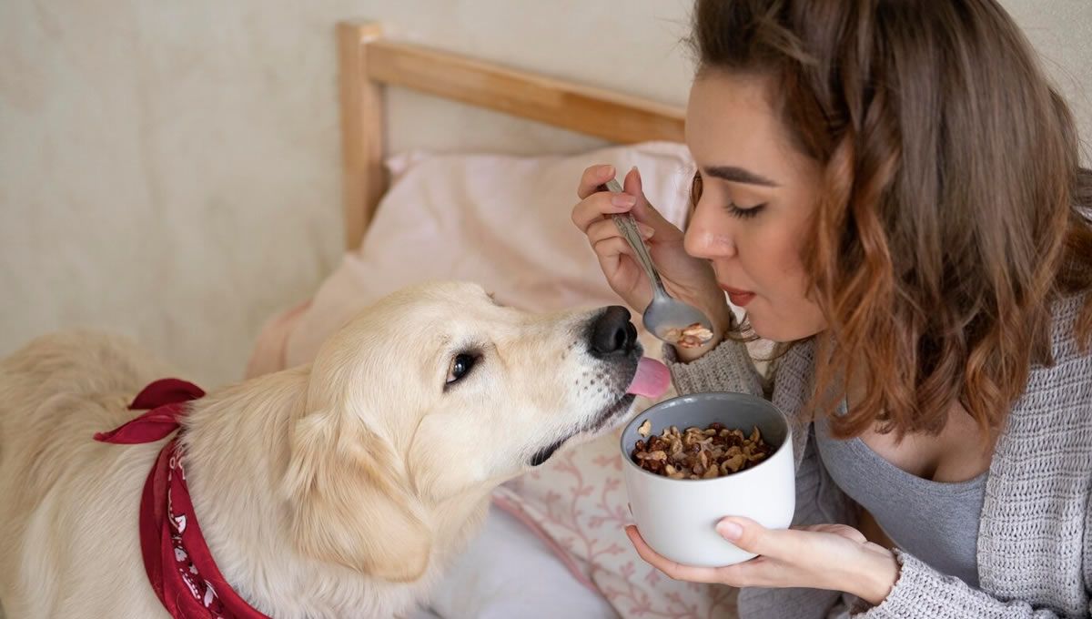 Perro y su dueña comiendo cereales. (Foto: Freepik)