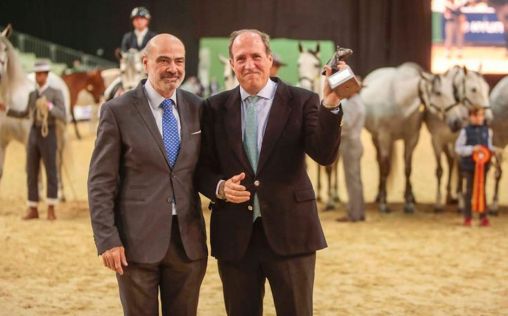 Sevilla acoge la 33ª edición del Salón Internacional del Caballo de Pura Raza Española