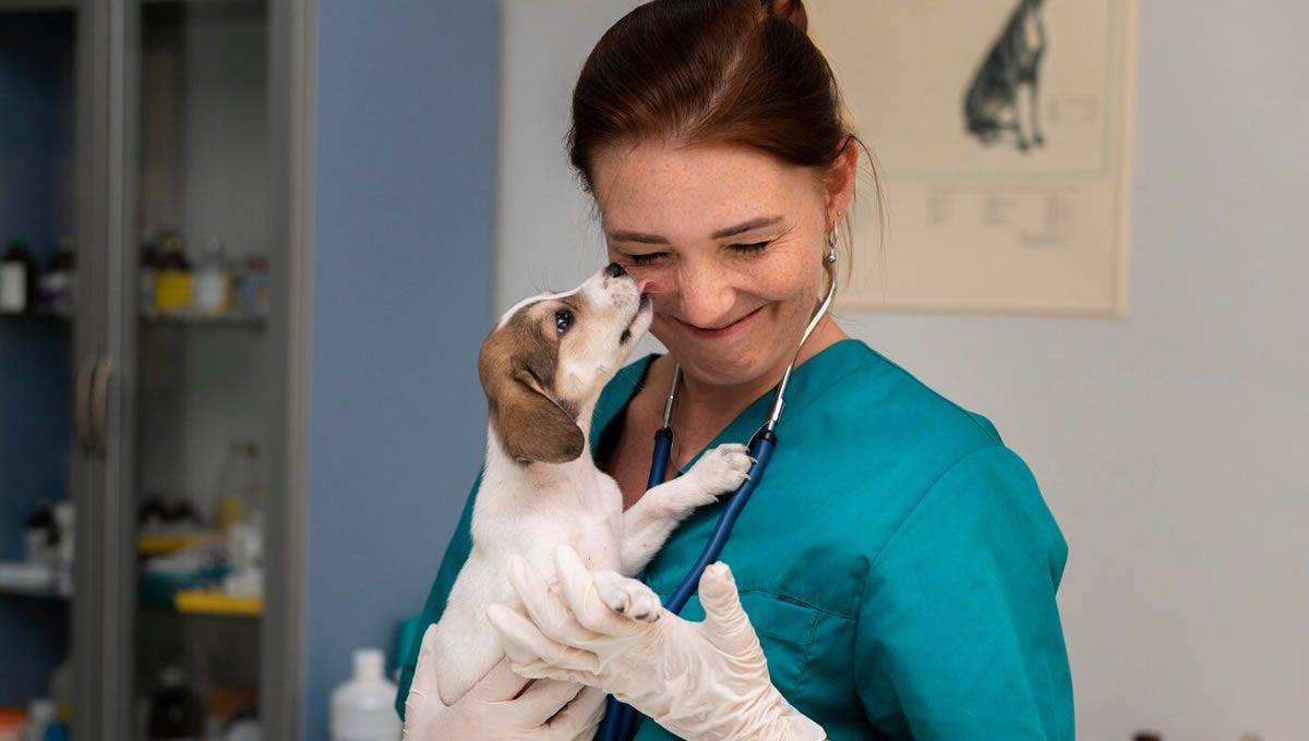 Veterinaria con un perro en la consulta. (Foto: Freepik)