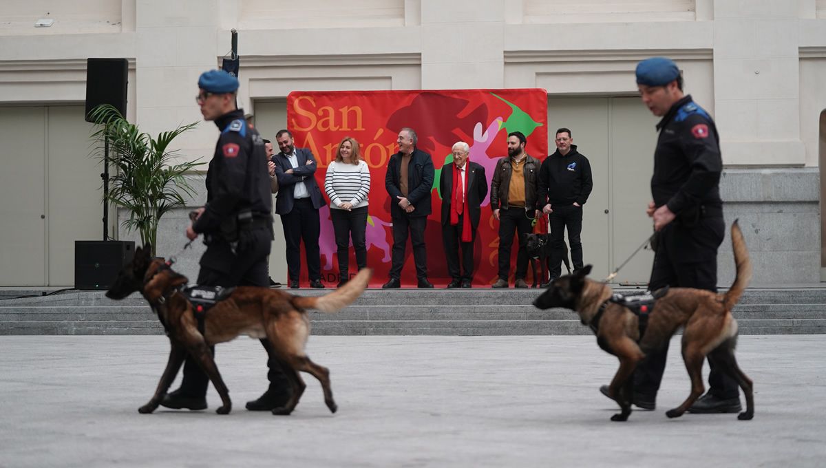 Sección canina de la Policía Municipal de Madrid. (Foto: Ayuntamiento de Madrid)