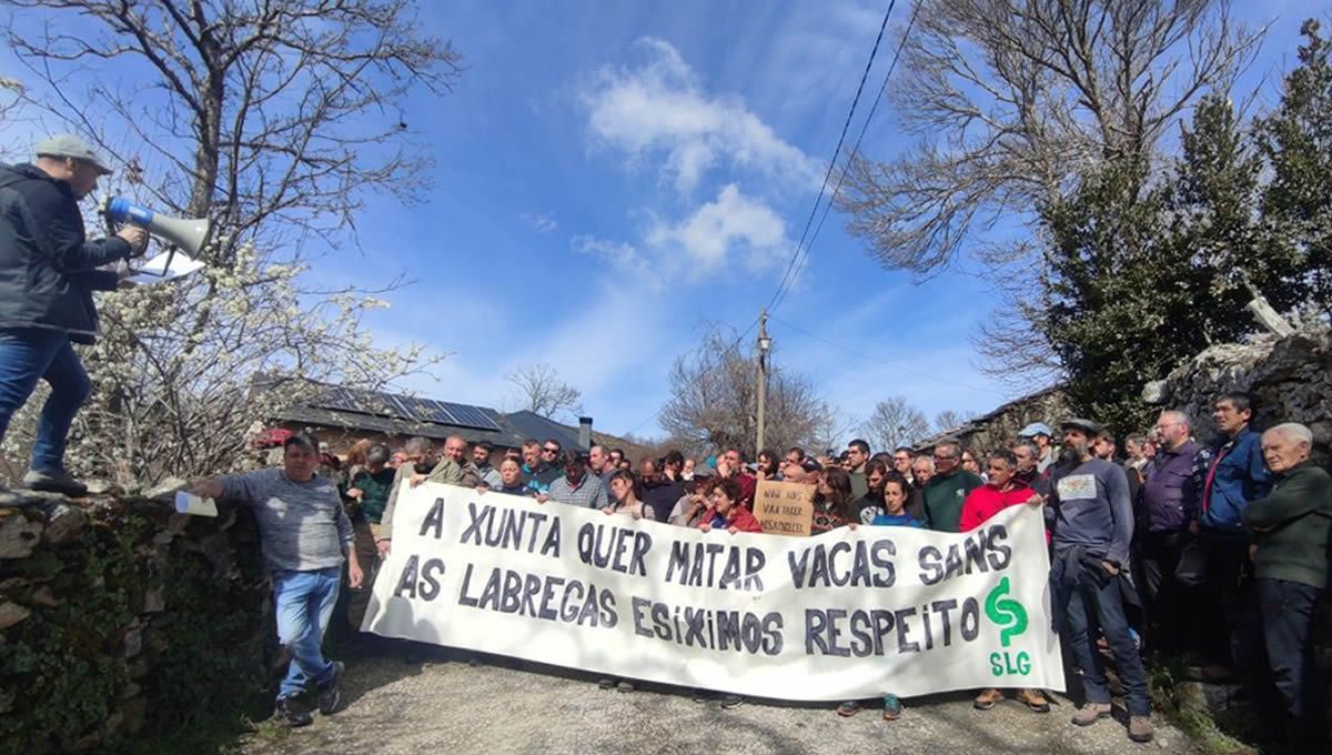 Protestas por el sacrificio en Galicia de vacas por tuberculosis. (Foto: Sindicato Labrego Galego)