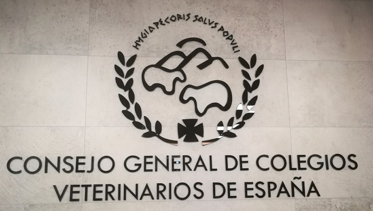 El Consejo General de Colegios Veterinarios de España compuesto por veterinarios que demandan inversión en Veterinaria. (Foto: OCV)