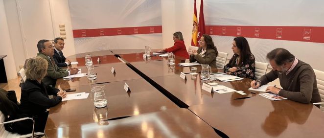 Reunión Comunidad de Madrid con representantes de Dentistas (Fuente: COEM)