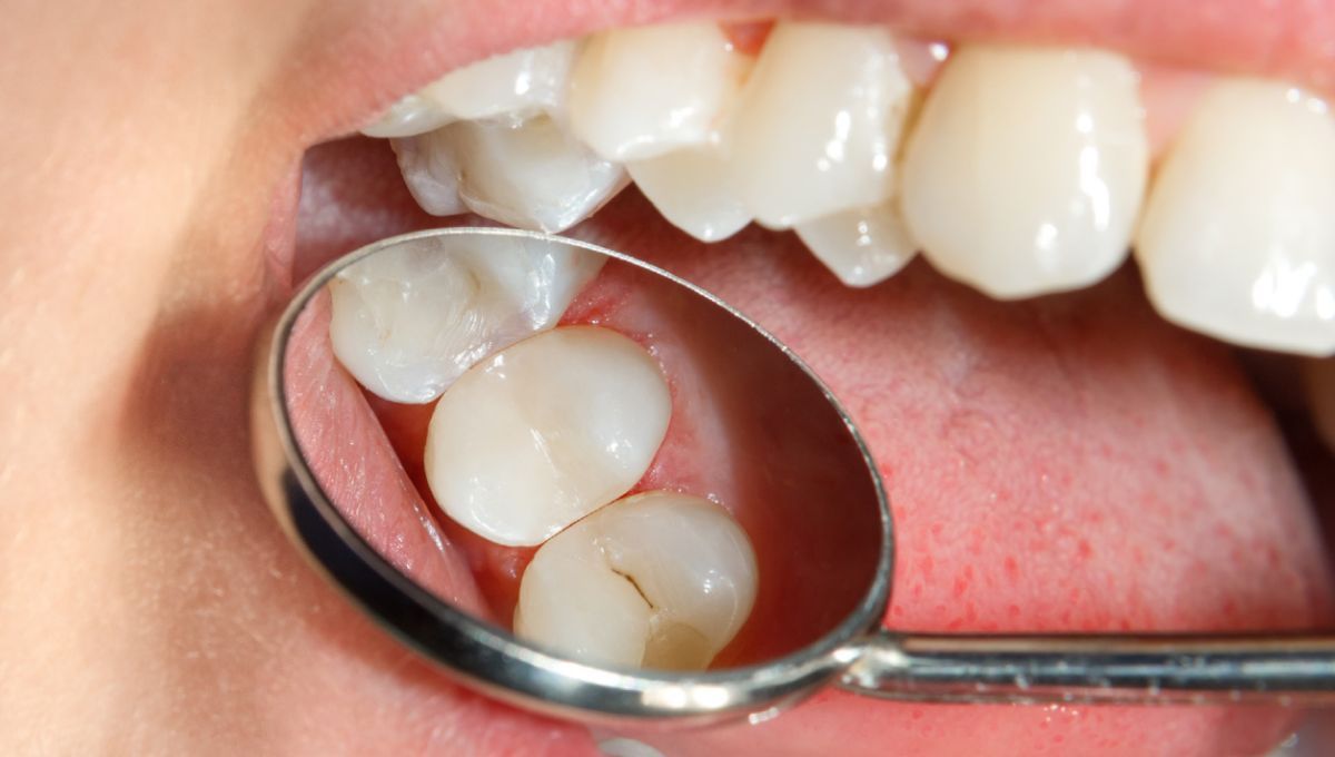 Dentista examinando dientes de un paciente (Fuente: Freepik)