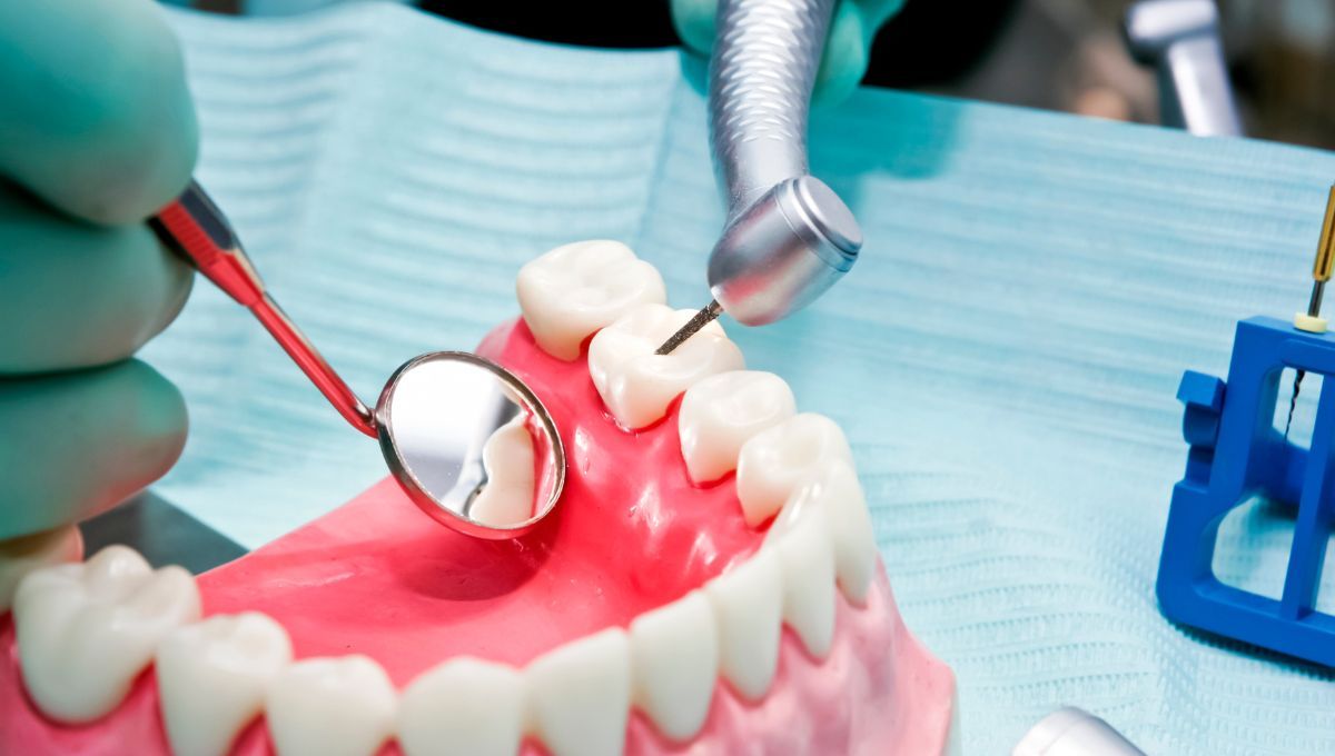 Dentistas en formación (Fuente: Canva)