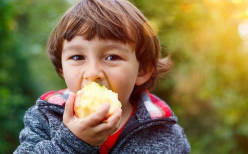 La masticación infantil determina el buen desarrollo maxilar: así influye en ella la alimentación