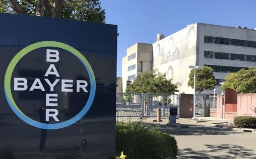 Bayer y Mammoth Biosciences colaborarán en una nueva tecnología de edición genética