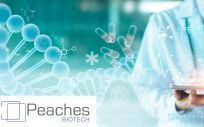 Peaches Biotech publica resultados positivos "in vivo" de su medicamento PRS CK STORM