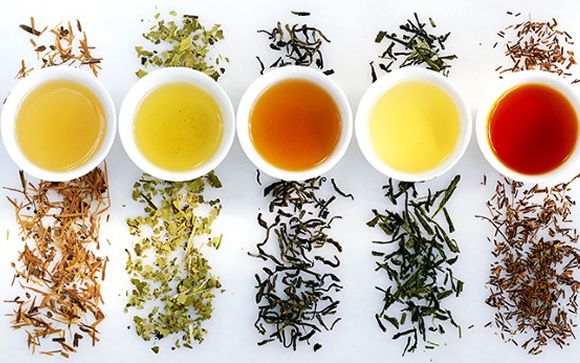 ¿Conoces los distintos tipos de té y sus beneficios?