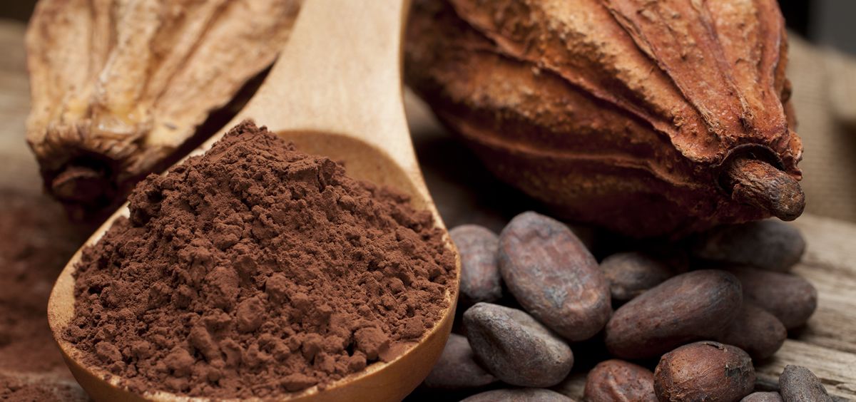 Cacao (Foto. Estetic)