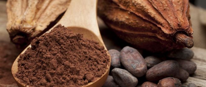 Cacao (Foto. Estetic)