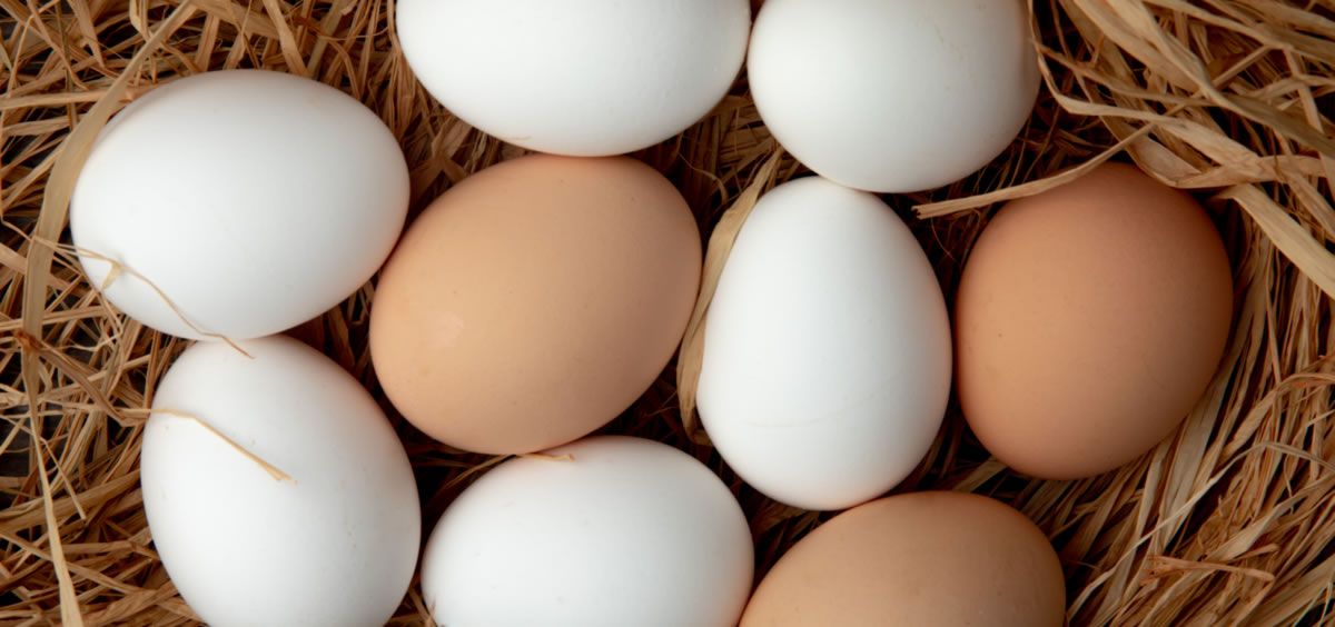 Huevos blancos y marrones (Foto. Freepik)