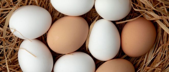 Huevos blancos y marrones (Foto. Freepik)
