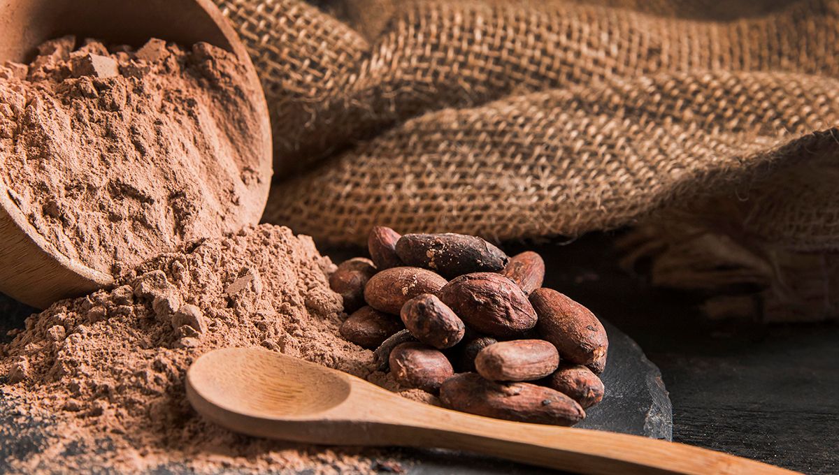 Cacao en polvo y semillas de cacao (Foto. Freepik)
