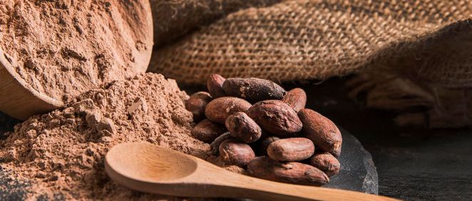 Cacao en polvo y semillas de cacao (Foto. Freepik)