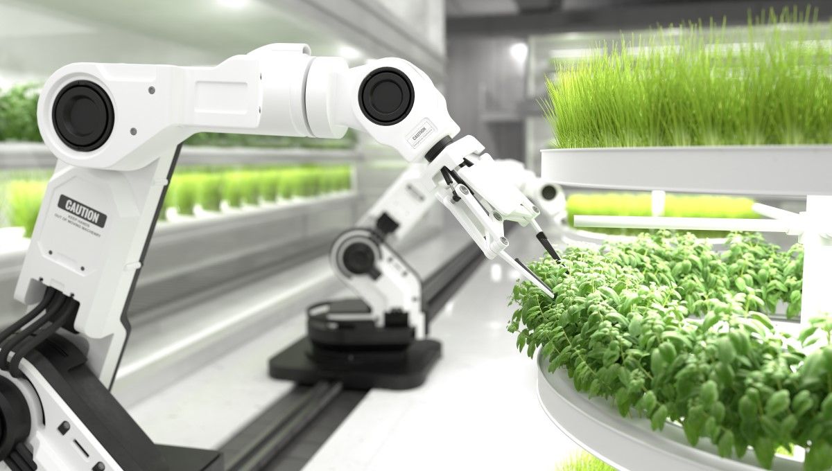 Robot granjero cuidando de las plantas de un laboratorio (Foto.Freepik)
