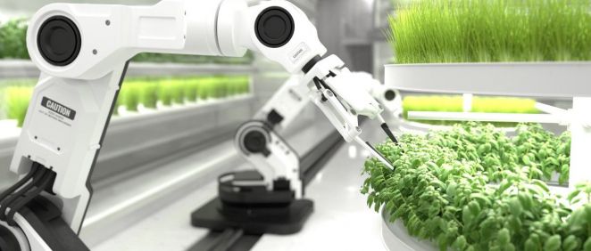 Robot granjero cuidando de las plantas de un laboratorio (Foto.Freepik)