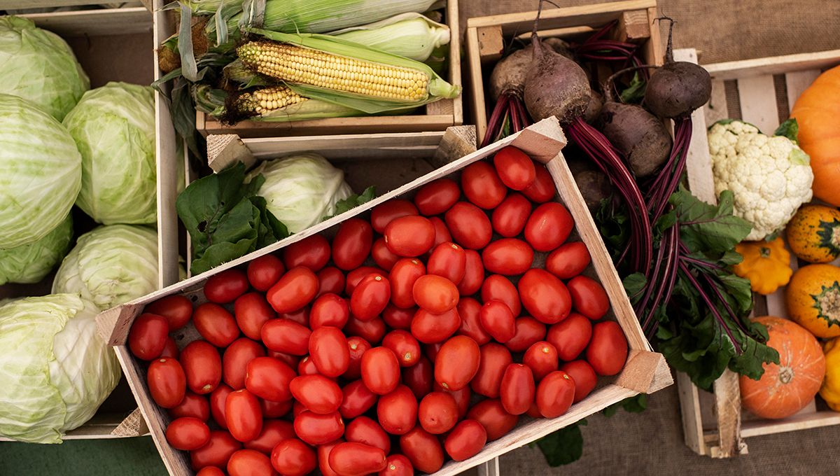 Cajones de verduras con tomates, maíz, repollo y calabazas (Foto. Freepik)