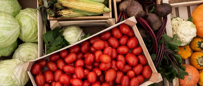 Cajones de verduras con tomates, maíz, repollo y calabazas (Foto. Freepik)