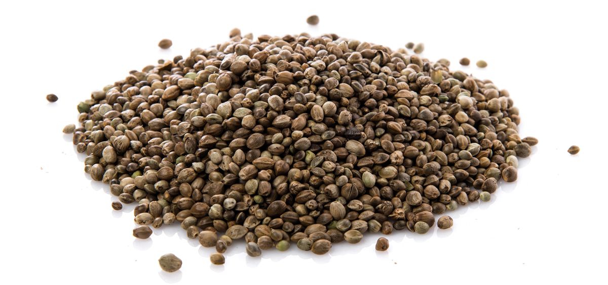 Las semillas de cáñamo tienen un rico perfil nutricional