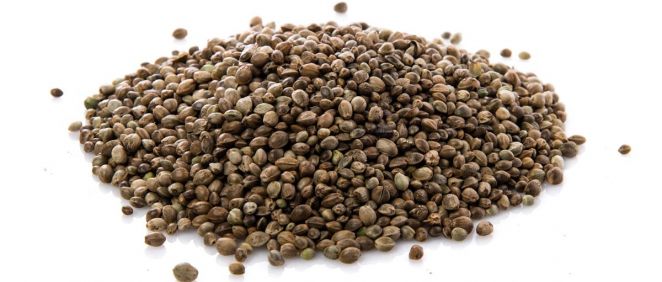 Las semillas de cáñamo tienen un rico perfil nutricional