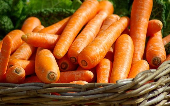 Cinco beneficios de la zanahoria