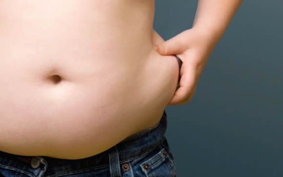 La grasa parda y la epigenética, claves contra la obesidad