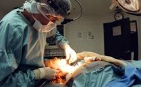 La Secpre denuncia la vulgarización de la Cirugía Estética