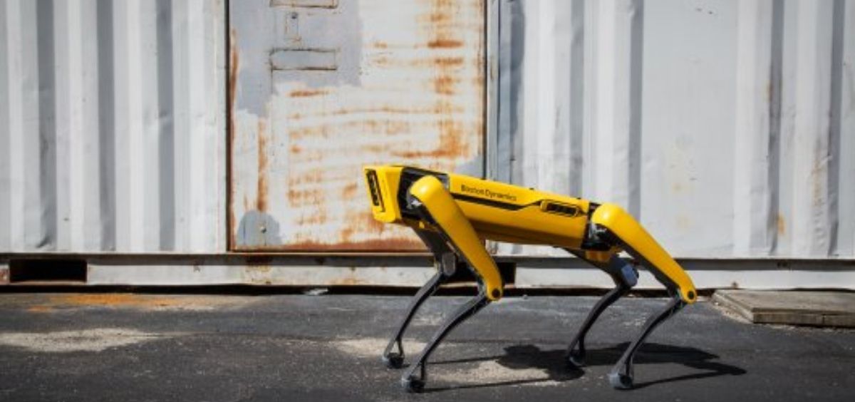 Robot Spot (Foto. Boston Dynamics)