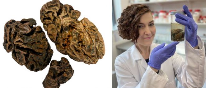 Alexandra Morton Hayward, investigadora de posgrado del Departamento de Ciencias de la Tierra, con cerebros humanos antiguos conservados (Foto. Fotomontaje Influcare)