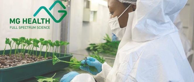MG Health obtiene luz verde de la UE para exportar cannabis para uso medicinal