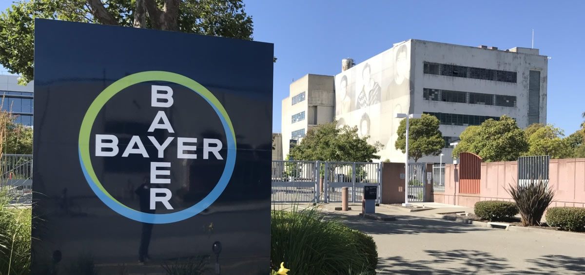 Bayer y Mammoth Biosciences colaborarán en una nueva tecnología de edición genética