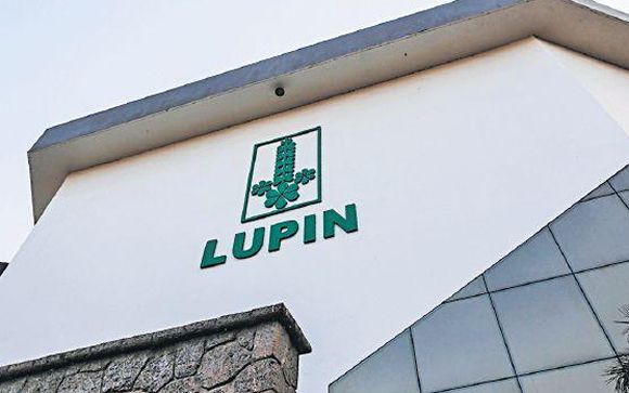 Lupin 
