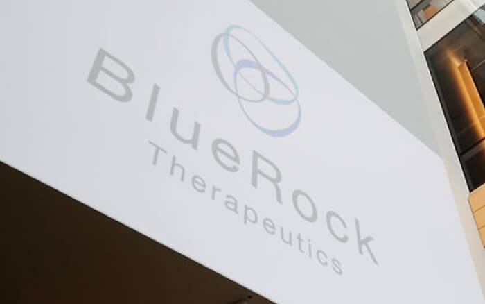 Nace BlueRock Therapeutics de la mano de Bayer y Versant Ventures