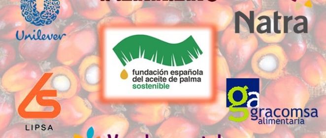 La Fundación Española del Aceite de Palma Sostenible, sin presidente 
