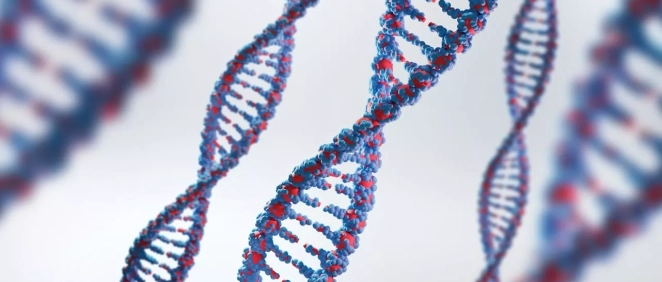 Representación genes de ADN (Fuente: Freepik)