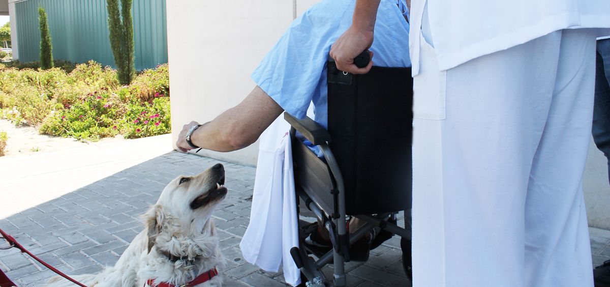 Ribera Salud crea un protocolo para permitir visitas de mascotas a los pacientes ingresados