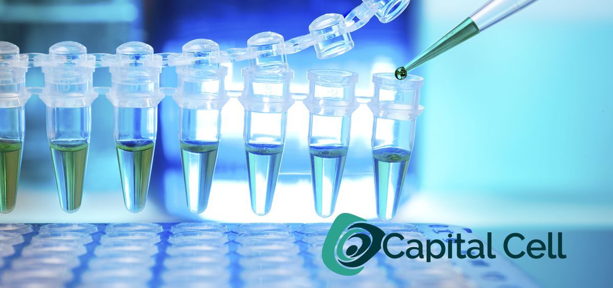 Capital Cell espera alcanzar los 4,3 millones para startups de salud y biotecnología