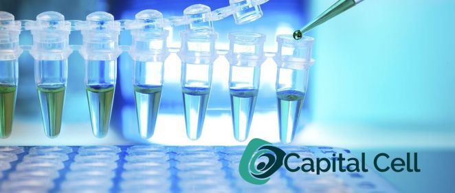 Capital Cell espera alcanzar los 4,3 millones para startups de salud y biotecnología
