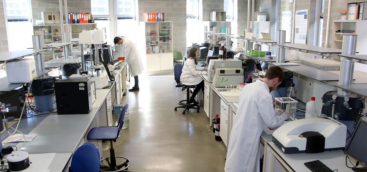 Investigadores de Polimerbio en el laboratorio de Bilbao.