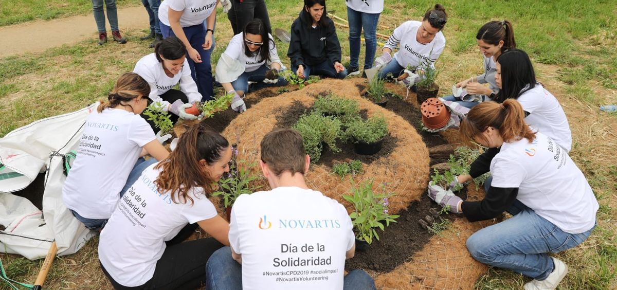 Novartis celebra la 23ª edición de su Día de la Solidaridad