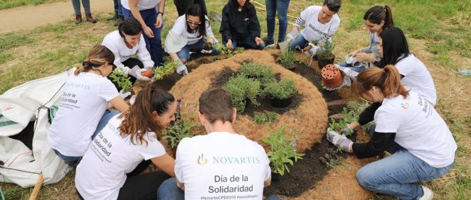 Novartis celebra la 23ª edición de su Día de la Solidaridad