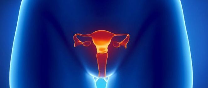Nuevo escáner de ultrasonido 3D para los tratamientos de cánceres ginecológicos
