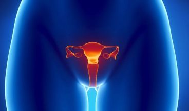 Nuevo escáner de ultrasonido 3D para los tratamientos de cánceres ginecológicos