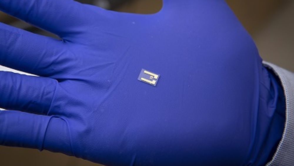 Chip de biopsia líquida desarrollado en WPI (Foto. Curtis Sayers WPI)