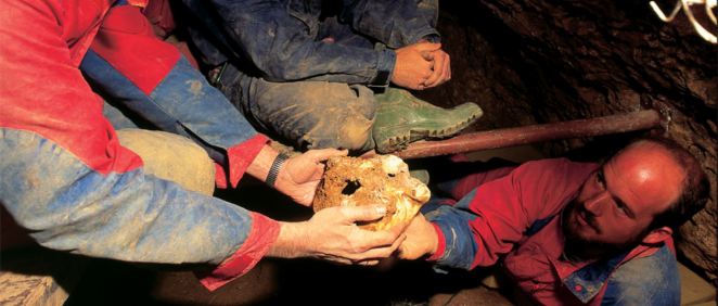 Descubrimiento del Cráneo 4 de la Sima de los Huesos en Atapuerca (Foto. ConSalud)