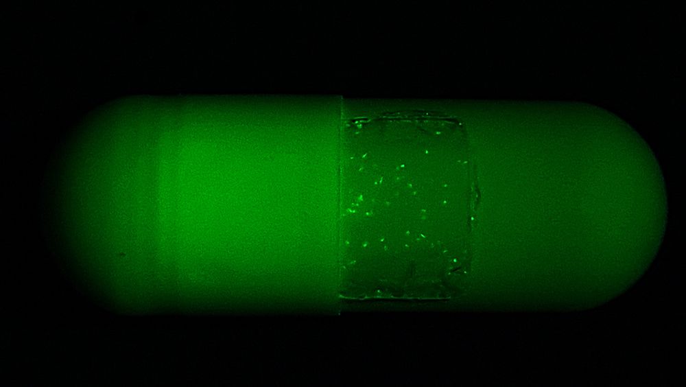 Los investigadores han creado una etiqueta de seguridad de película de seda para ir a la superficie de las cápsulas de drogas. (Foto. Universidad de Purdue/ Jung Woo Leem)
